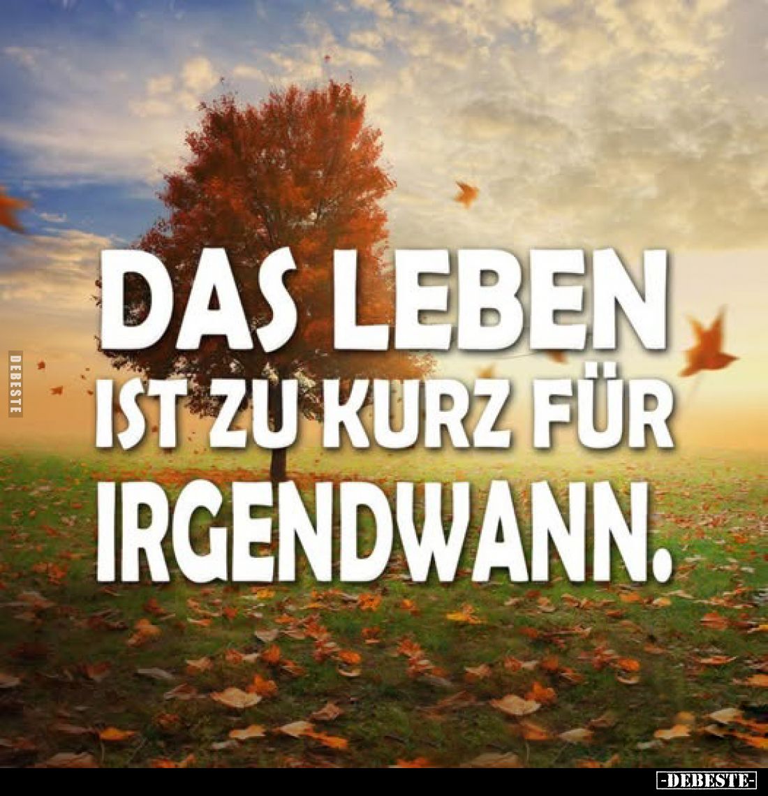 Das Leben ist zu kurz für irgendwann.. - Lustige Bilder | DEBESTE.de