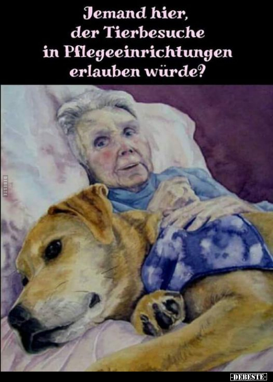 Jemand hier, der Tierbesuche in Pflegeeinrichtungen.. - Lustige Bilder | DEBESTE.de