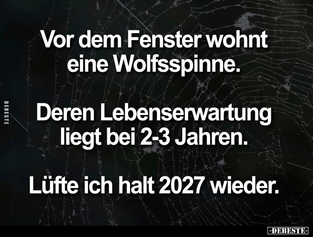 Vor dem Fenster wohnt eine Wolfsspinne.

Deren Lebenserwartung liegt bei 2-3 Jahren.

Lüfte ich halt 2027 wieder.