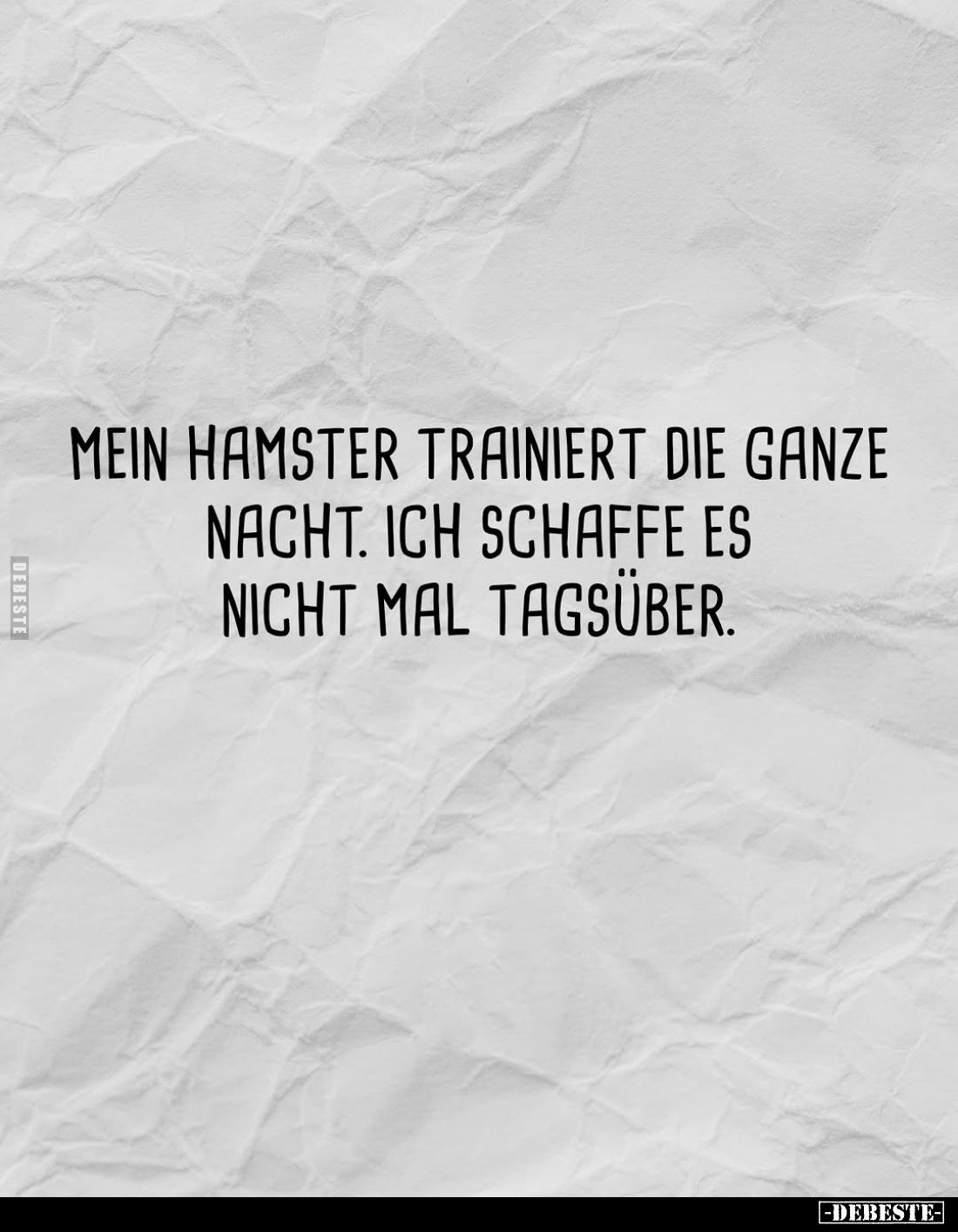 Mein Hamster trainiert die ganze Nacht. Ich schaffe es nicht mal tagsüber.