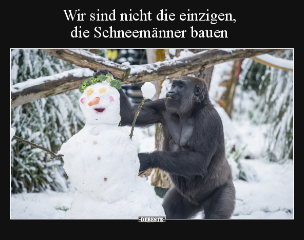 Wir sind nicht die einzigen, die Schneemänner bauen.. - Lustige Bilder | DEBESTE.de