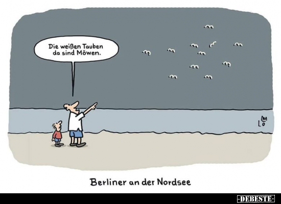 Die weißen Tauben da sind Möwen.. - Lustige Bilder | DEBESTE.de