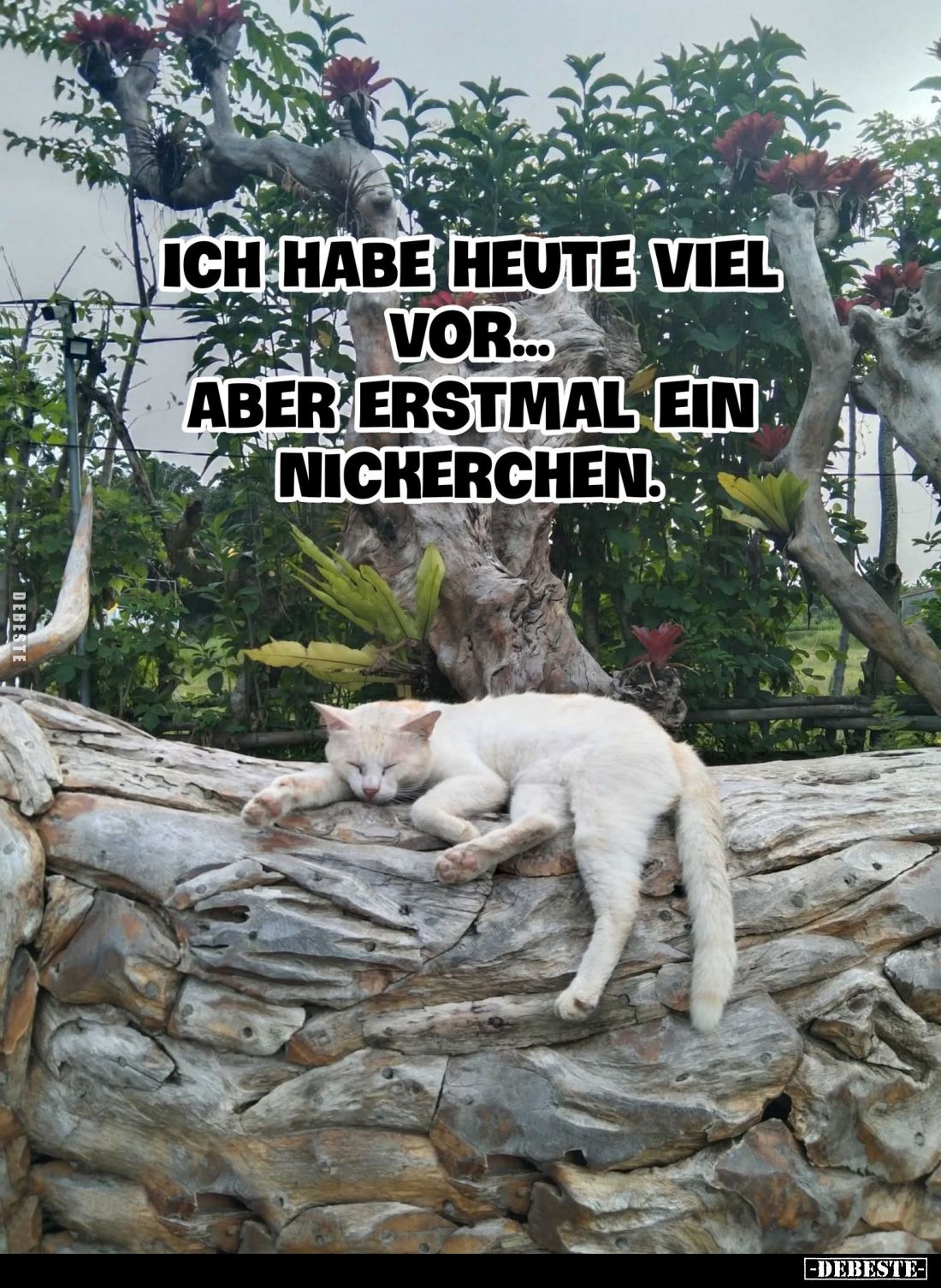 Ich habe heute viel vor...  - Lustige Bilder | DEBESTE.de