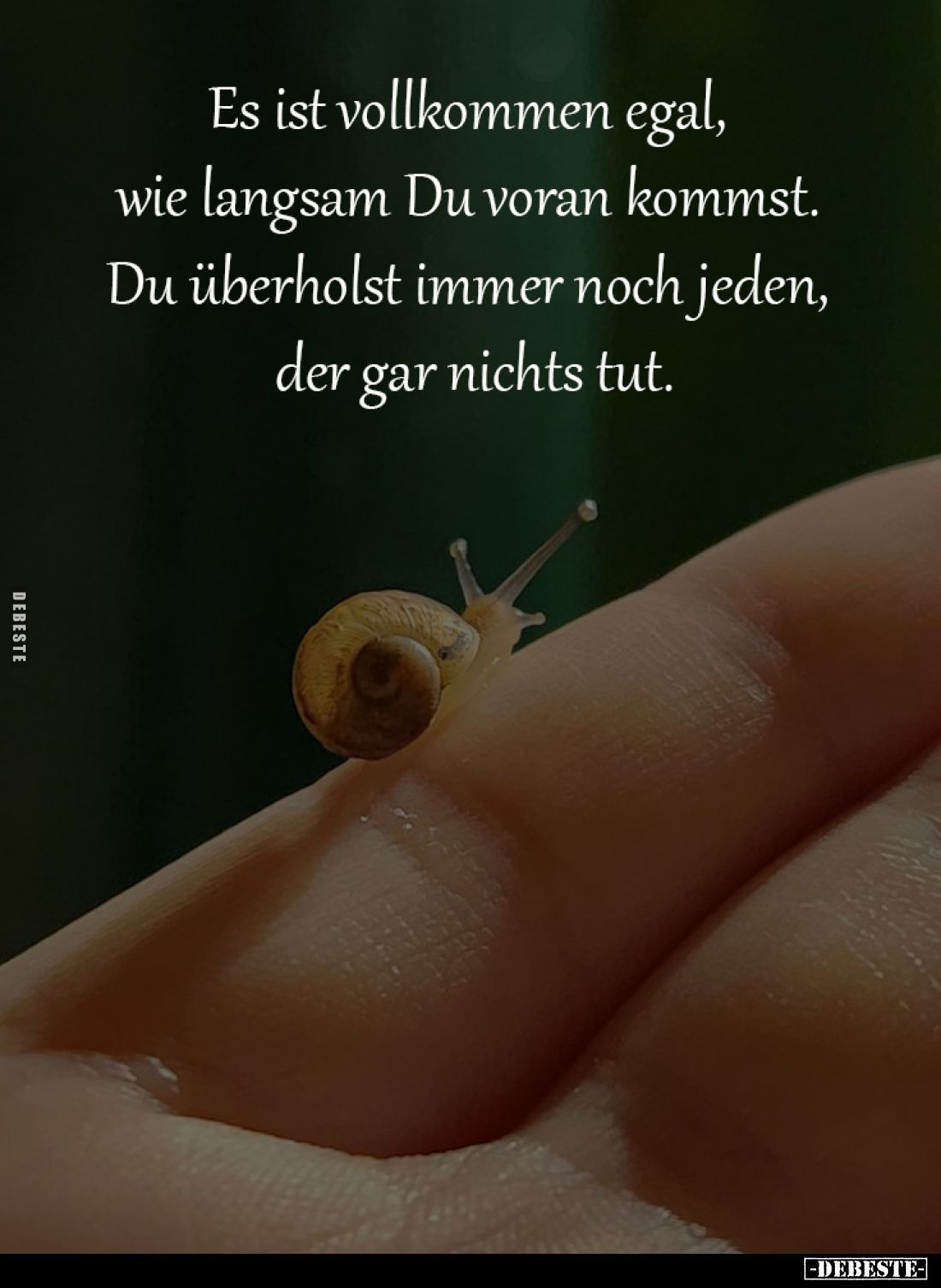 Es ist vollkommen egal, 
wie langsam Du voran kommst. 
Du überholst immer noch jeden, 
der gar nichts tut.