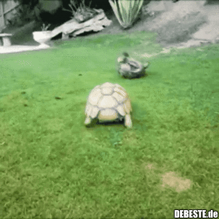 Ich helf dir, Kumpel!