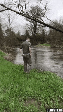 Erwartungen erfüllt.