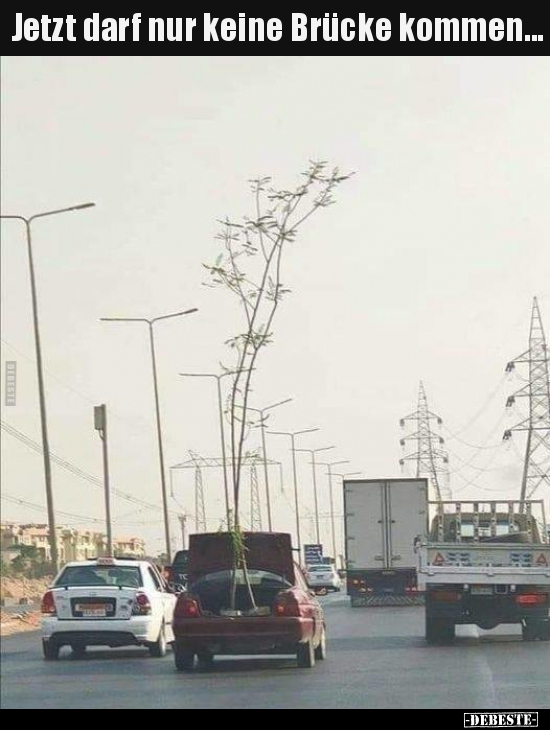 Jetzt darf nur keine Brücke kommen...