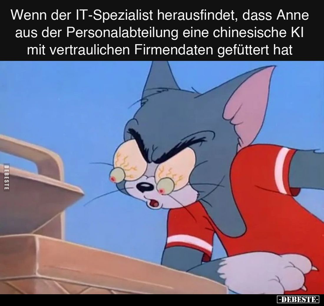 Wenn der IT-Spezialist herausfindet, dass Anne aus der Personalabteilung eine chinesische KI mit vertraulichen Firmendaten ge...