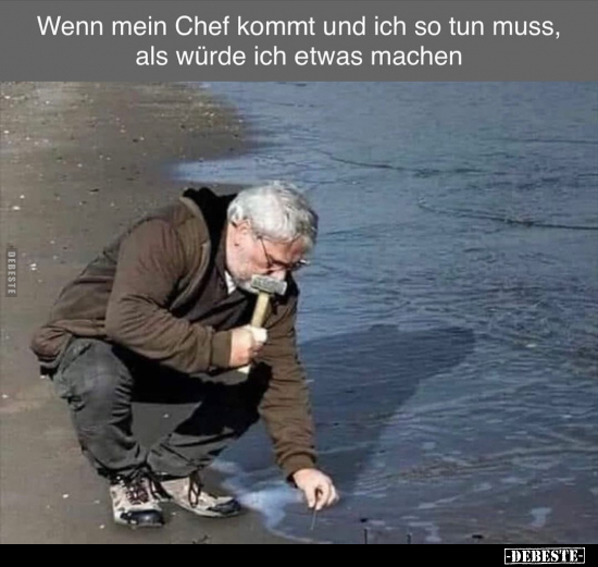 Wenn mein Chef kommt und ich so tun muss.. - Lustige Bilder | DEBESTE.de