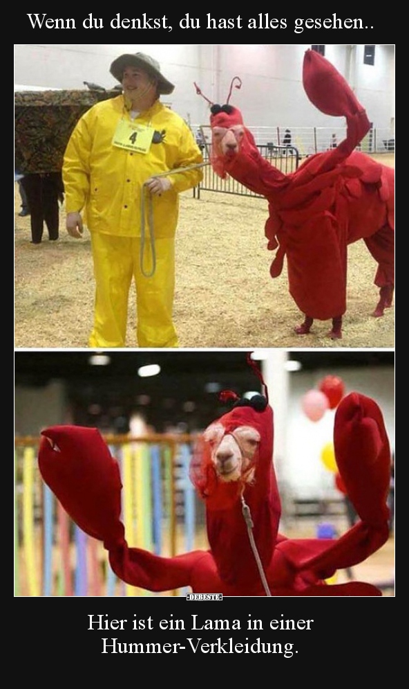 Wenn du denkst, du hast alles gesehen..