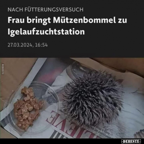 Frau bringt Mützenbommel zu Igelaufzuchtstation.. - Lustige Bilder | DEBESTE.de