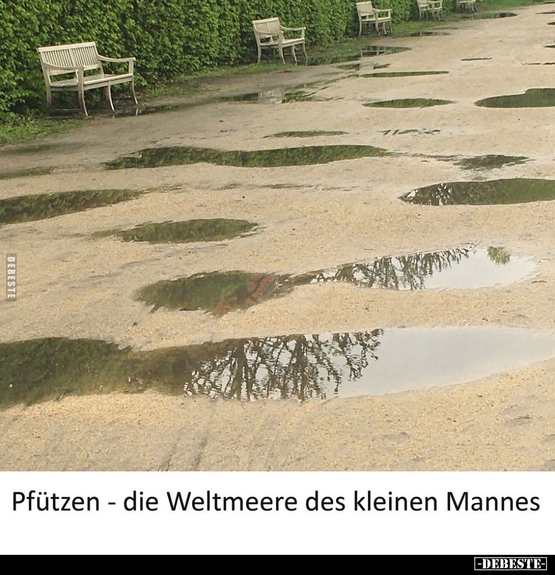 Pfützen - die Weltmeere des kleinen Mannes.