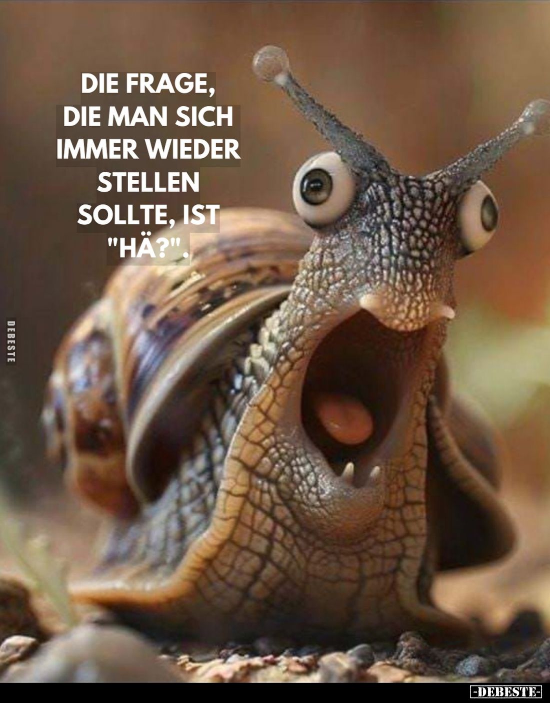 Die Frage, die man sich immer wieder stellen sollte, ist "Hä?".