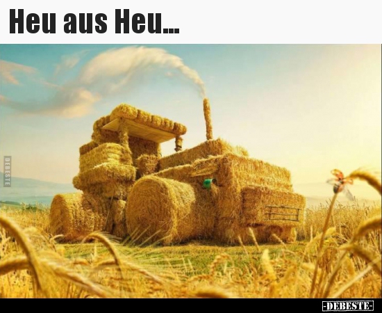 Heu aus Heu...