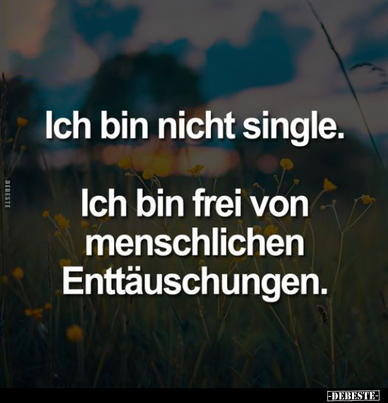 Ich bin nicht single. Ich bin frei von menschlichen.. - Lustige Bilder | DEBESTE.de