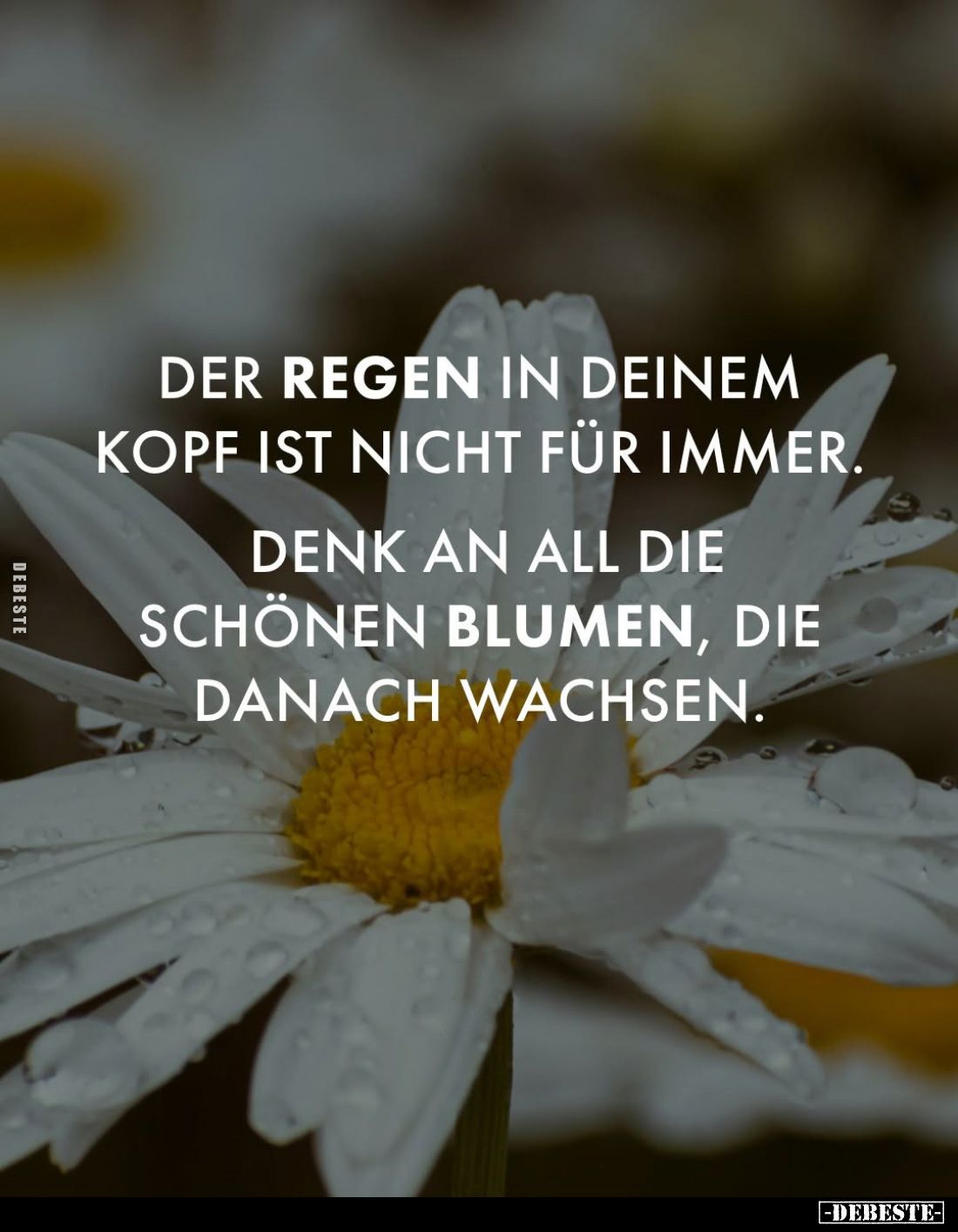 Der Regen in deinem Kopf ist nicht für immer. Denk an all die schönen Blumen, die danach wachsen.