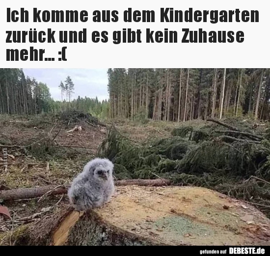 Ich komme aus dem Kindergarten zurück und es gibt kein.. - Lustige Bilder | DEBESTE.de