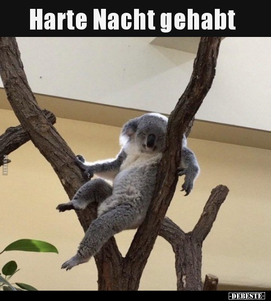Harte Nacht gehabt..