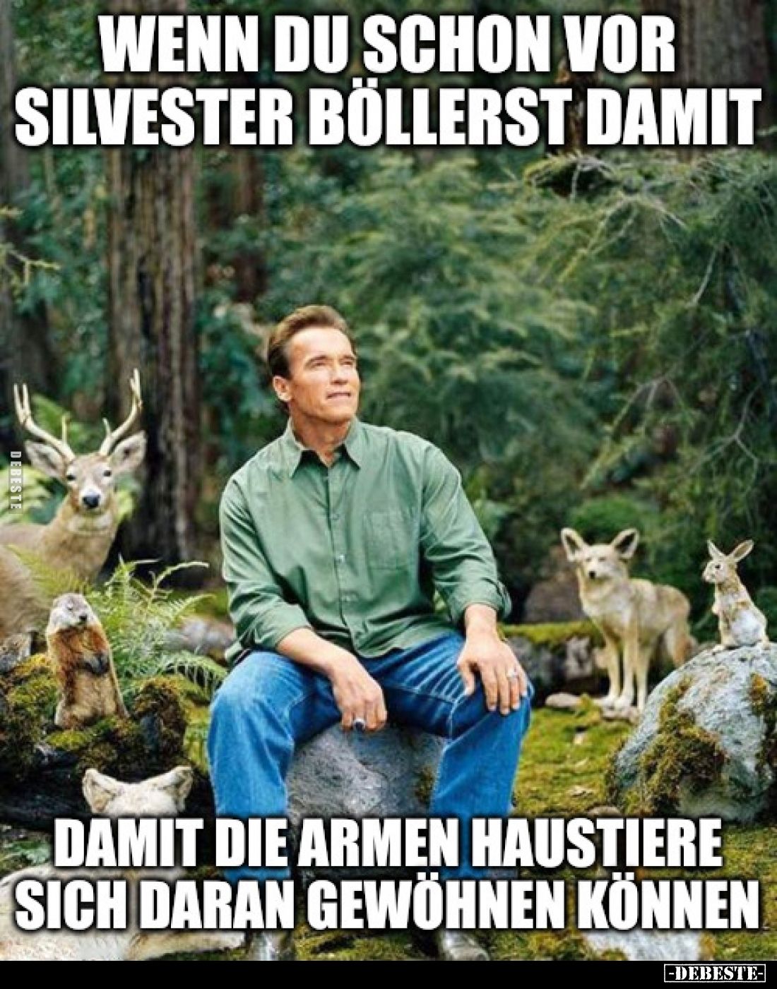 Wenn du schon vor Silvester böllerst, damit die armen Haustiere sich daran gewöhnen können