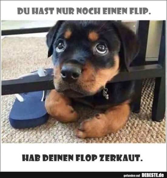 Du hast nur noch einen Flip..