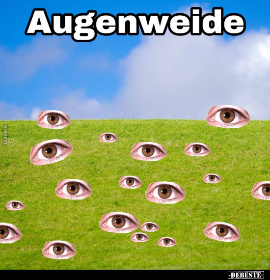 Augen