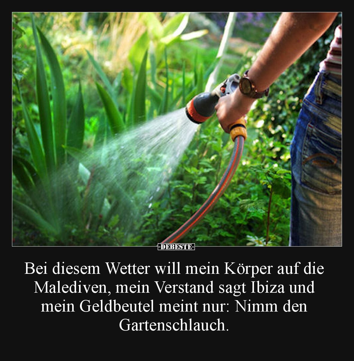 Bei diesem Wetter will mein Körper auf die Malediven, mein.. - Lustige Bilder | DEBESTE.de