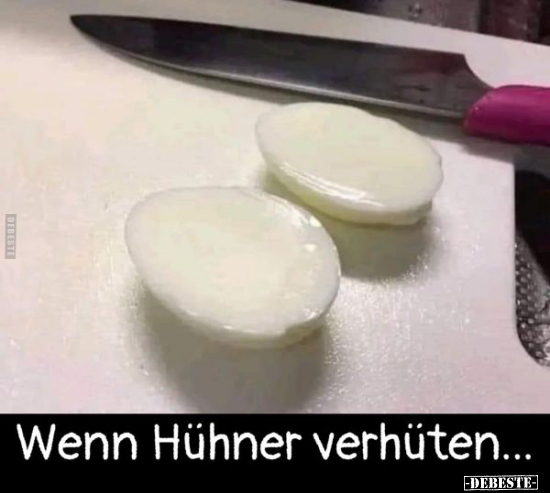 Wenn Hühner verhüten... - Lustige Bilder | DEBESTE.de