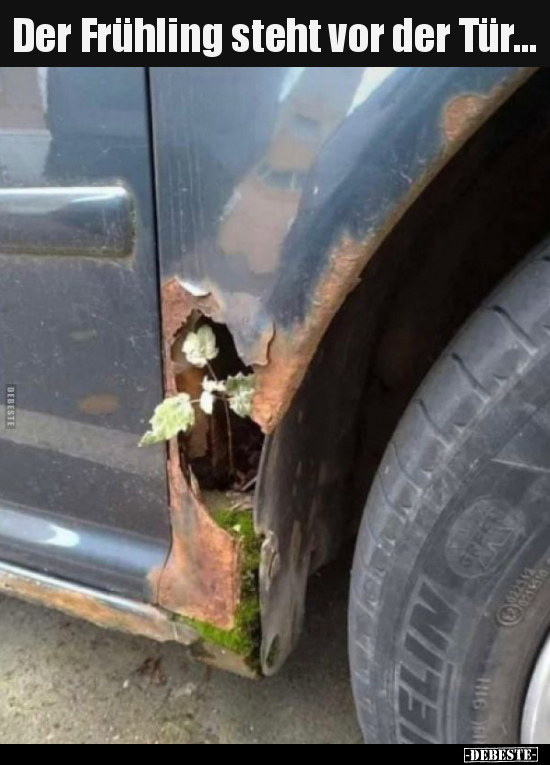 Der Frühling steht vor der Tür...