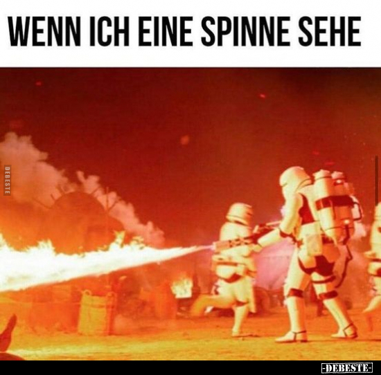 Wenn ich eine Spinne sehe... - Lustige Bilder | DEBESTE.de