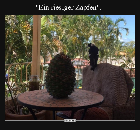 "Ein riesiger Zapfen"... - Lustige Bilder | DEBESTE.de