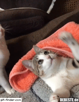 Zwei Freunde. - Lustige Bilder | DEBESTE.de