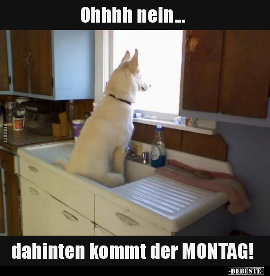 Ohhhh nein... dahinten kommt der MONTAG!.. - Lustige Bilder | DEBESTE.de