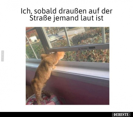 Ich, sobald draußen auf der Straße.. - Lustige Bilder | DEBESTE.de