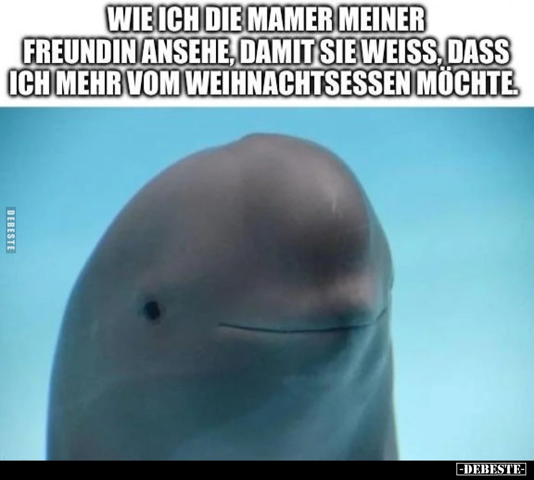 Wie ich die Mamer meiner Freundin ansehe, damit sie weiß, dass ich mehr vom Weihnachtsessen möchte.