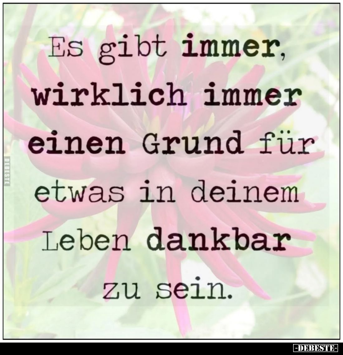 Es gibt immer, wirklich immer einen Grund für etwas in deinem Leben dankbar zu sein.