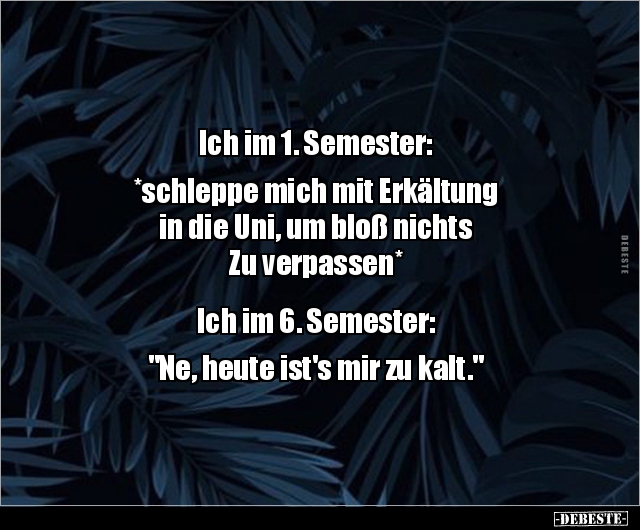 Ich im 1. Semester: *schleppe mich mit Erkältung in..* - Lustige Bilder | DEBESTE.de