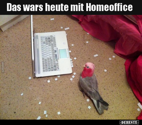 Das wars heute mit Homeoffice.. - Lustige Bilder | DEBESTE.de