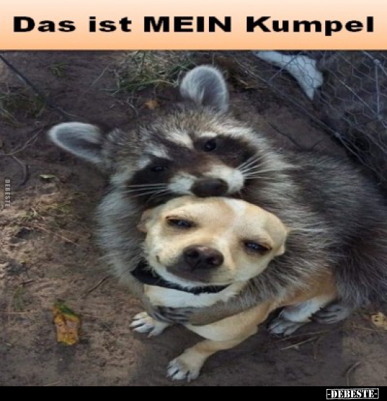Das ist MEIN Kumpel!