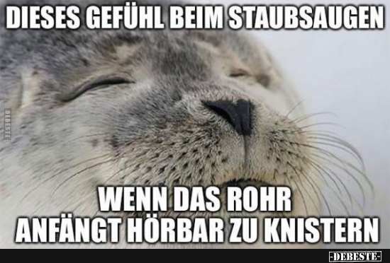 Dieses Gefühl beim Staubsaugen..