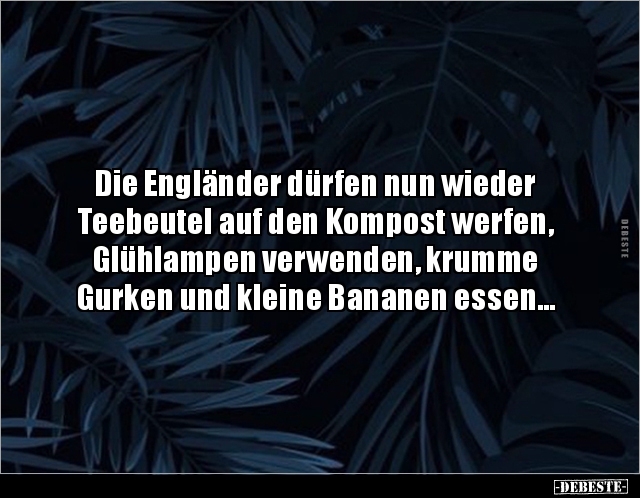 Die Engländer dürfen nun wieder Teebeutel auf den.. - Lustige Bilder | DEBESTE.de
