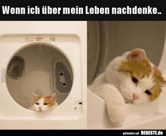 Wenn ich über mein Leben nachdenke..