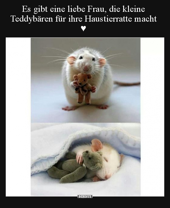 Es gibt eine liebe Frau, die kleine Teddybären für ihre.. - Lustige Bilder | DEBESTE.de