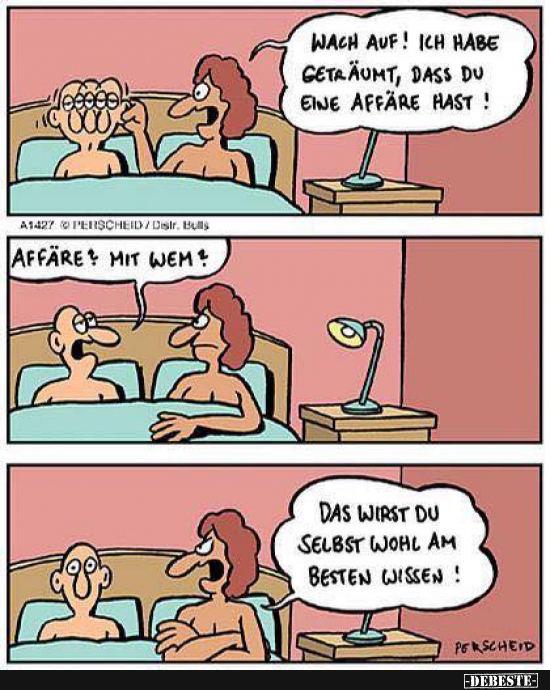 Wach auf! Ich habe geträumt, dass du eine Affäre hast! - Lustige Bilder | DEBESTE.de