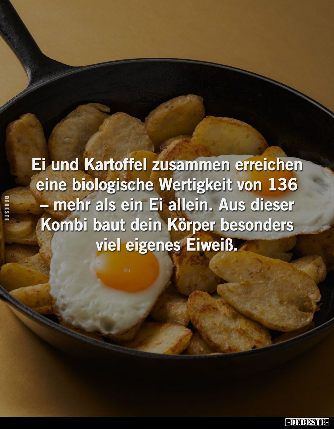 Ei und Kartoffel erreichen eine biologische Wertigkeit von 136 – mehr als ein Ei allein. Aus dieser Kombi baut dein Körper be...