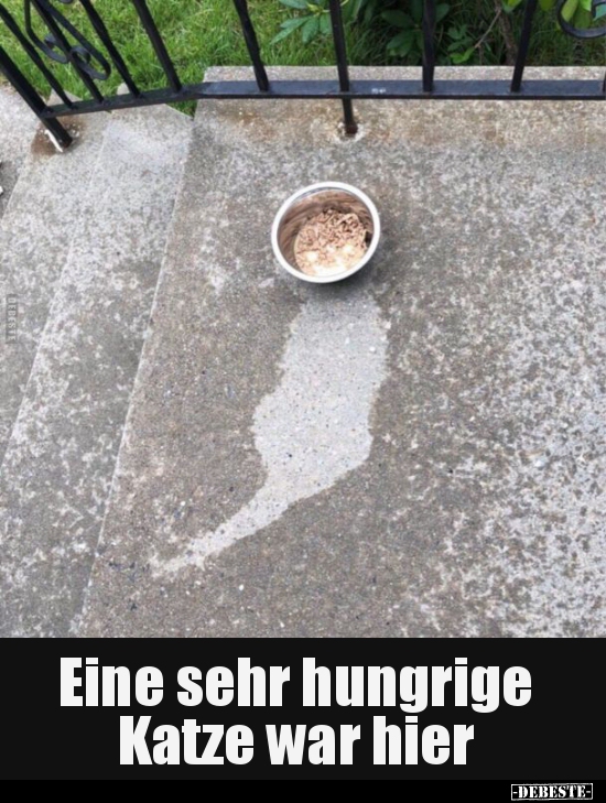Eine sehr hungrige Katze war hier.. - Lustige Bilder | DEBESTE.de