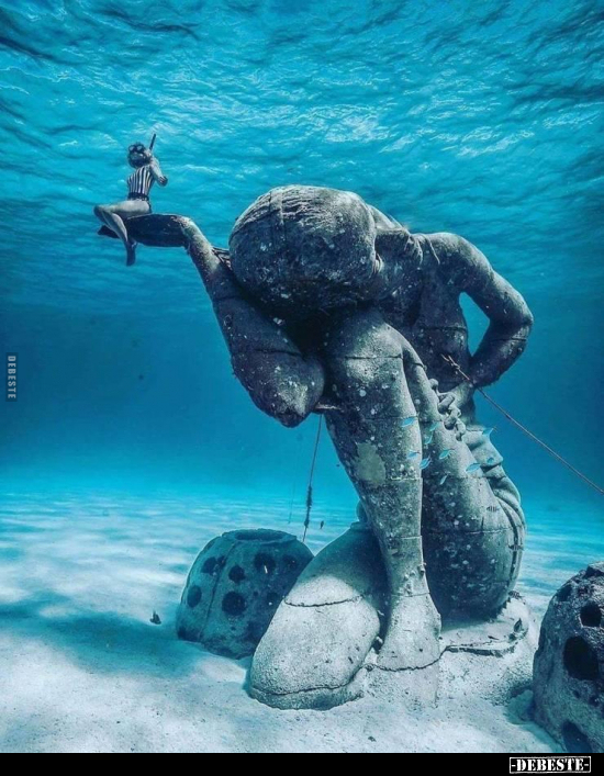  - Lustige Bilder | DEBESTE.de