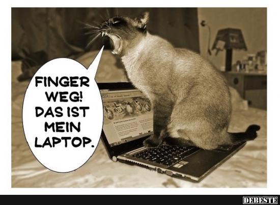 Finger Weg Das Ist Mein Laptop Lustige Bilder Spruche Witze Echt Lustig