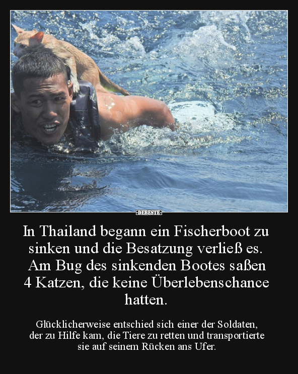 In Thailand begann ein Fischerboot zu sinken und die.. - Lustige Bilder | DEBESTE.de