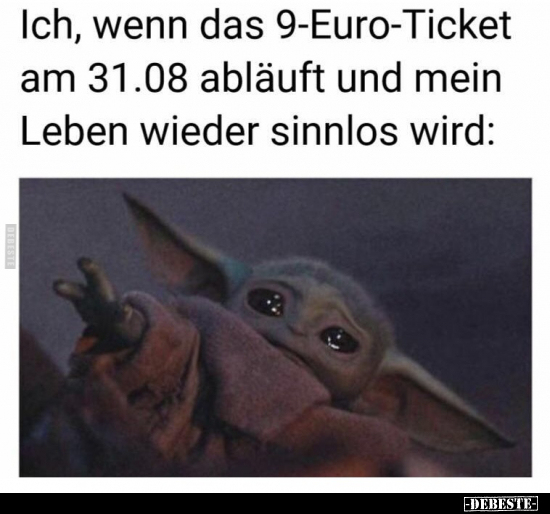 Ich, wenn das 9-Euro-Ticket am 31.08 abläuft und mein Leben.. - Lustige Bilder | DEBESTE.de