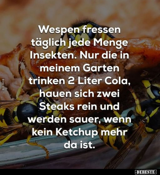 Wespen fressen täglich jede Menge Insekten... - Lustige Bilder | DEBESTE.de